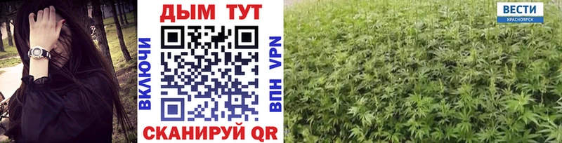 закладка  Опочка  Шишки марихуана индика 